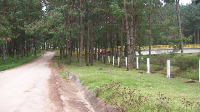 PELULO_634.JPG