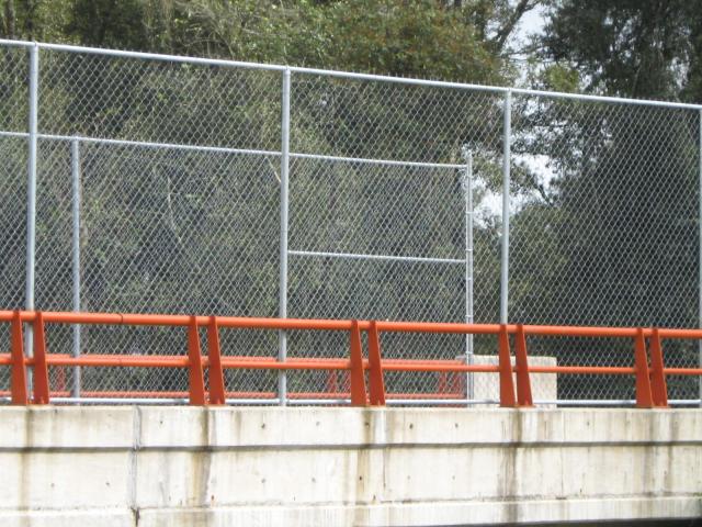 PELULO_644.JPG