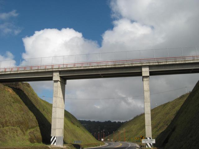 PELULO_645.JPG